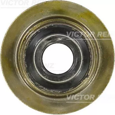 Seal Ring, valve stem