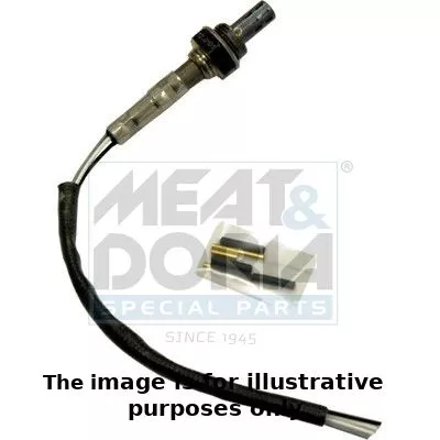 Oxygen Sensor