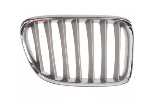 Radiator Grille