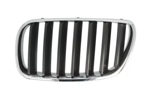 Radiator Grille