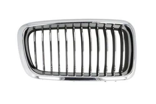 Radiator Grille