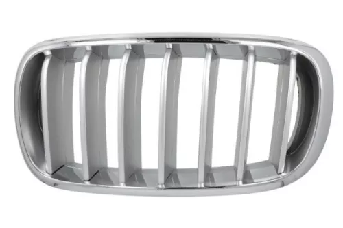 Radiator Grille