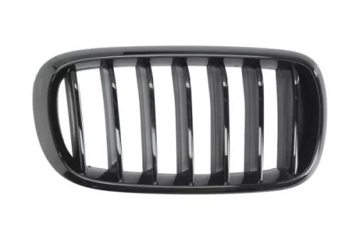 Radiator Grille