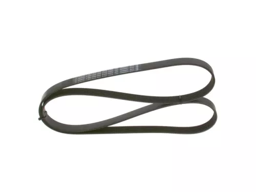 V-ribbed Belt