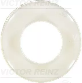 Seal Ring, valve stem