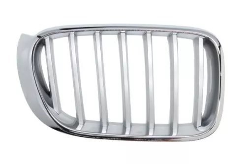 Radiator Grille