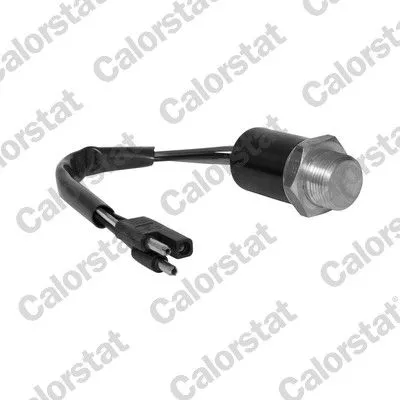 Temperature Switch, radiator fan