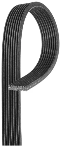 V-ribbed Belt