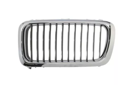 Radiator Grille