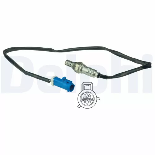 Oxygen Sensor