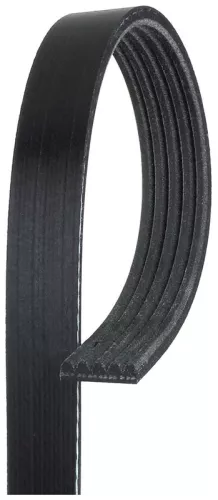 V-ribbed Belt