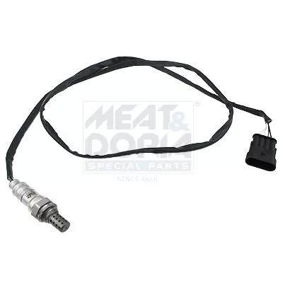 Oxygen Sensor