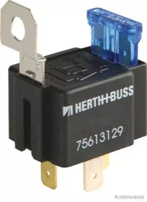 Multifunctional Relay