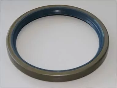 Shaft Seal, wheel hub
