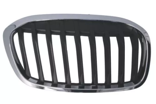 Radiator Grille