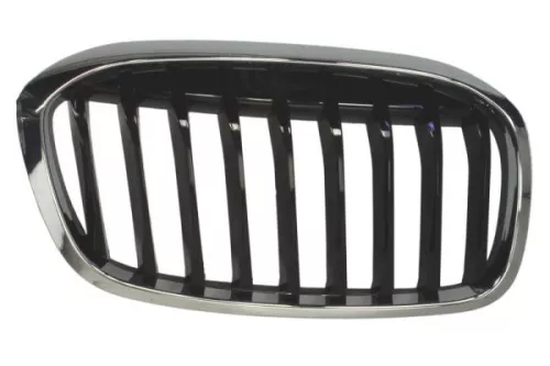 Radiator Grille