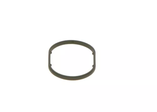 Seal Ring