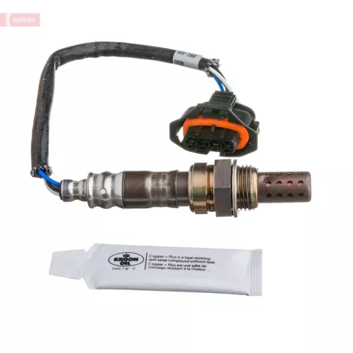 Oxygen Sensor
