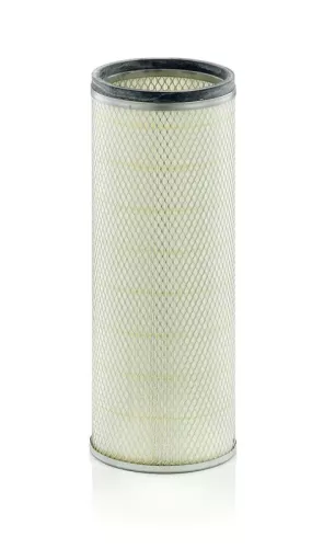 Secondary Air Filter