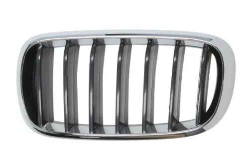 Radiator Grille