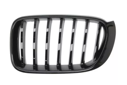 Radiator Grille