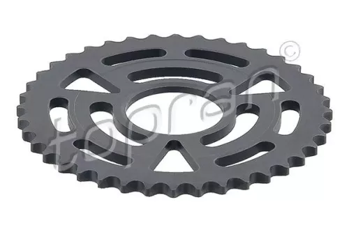 Gear/Sprocket, camshaft