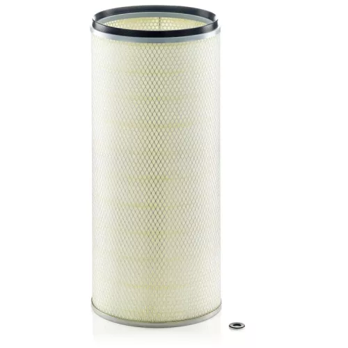 Secondary Air Filter