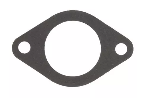 Gasket, thermostat housing