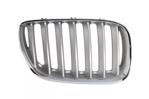 Radiator Grille