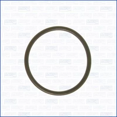 Gasket, coolant flange