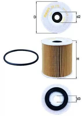 Oil Filter