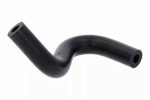 Hose, crankcase ventilation