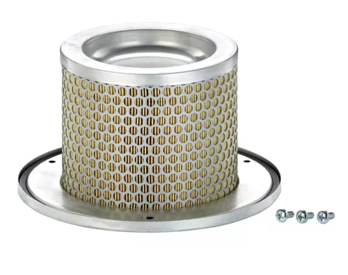 Secondary Air Filter