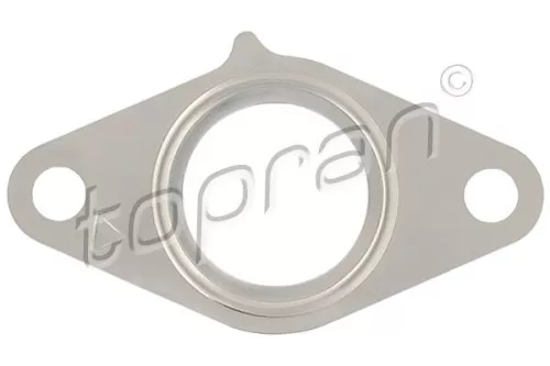 Gasket, EGR valve