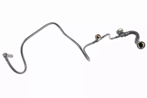 Hose, crankcase ventilation