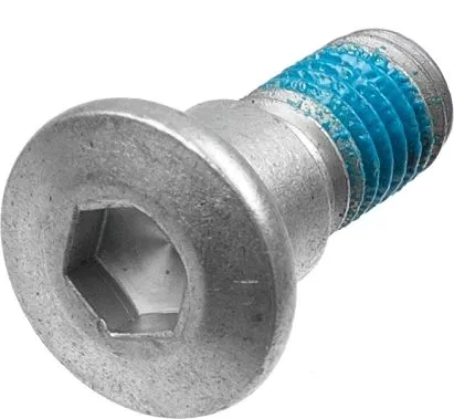 Screw Set, brake disc