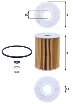 Oil Filter