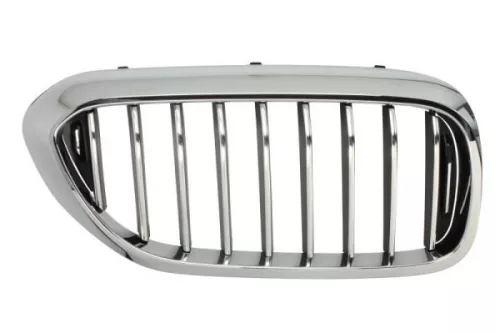Radiator Grille