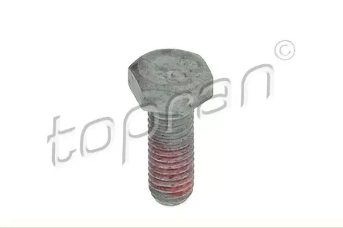 Bolt, brake caliper