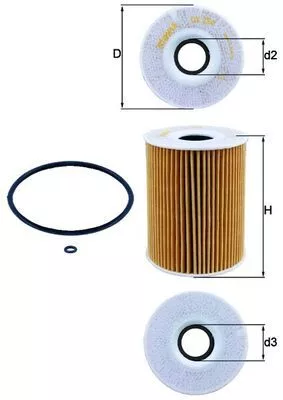 Oil Filter