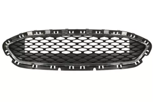 Radiator Grille