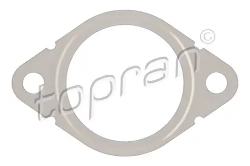 Gasket, EGR valve