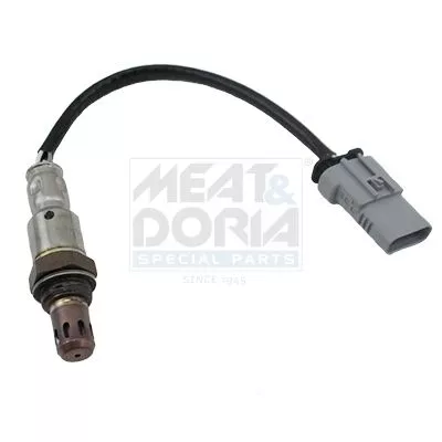 Oxygen Sensor