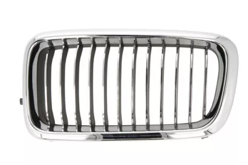 Radiator Grille
