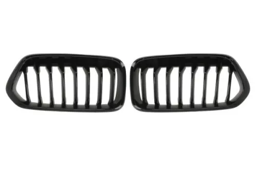 Radiator Grille