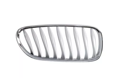 Radiator Grille