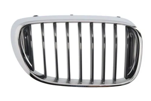 Radiator Grille
