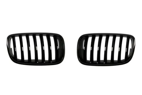 Radiator Grille