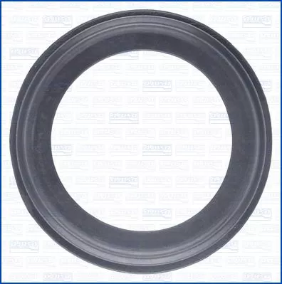 Seal Ring, charge air hose