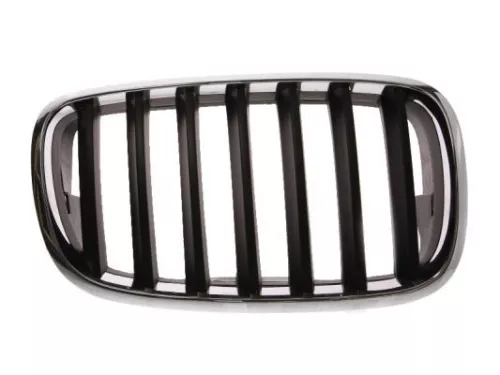 Radiator Grille